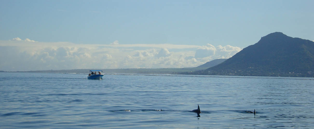 Nager avec les dauphins Rivière Noire