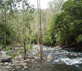 Hiking mauritius black river gorges nature river